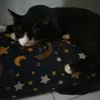 latifahchadir