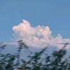 nptn04