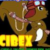 sony_febriana