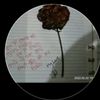 biki_kushwaha0