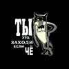 said405491