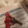 faten_alewe2