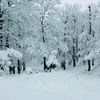 mohamadfakih31