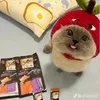 username48352