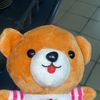 ms.palu01