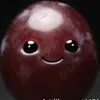 tuleiidevida