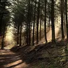 wildernessprepuk