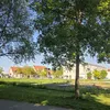 moisko25