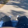 dylanknight081
