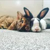 littlegirlandbobby