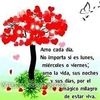 bachitalopez0