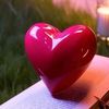 hanin_ibrahim22