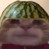 arrtlesn
