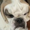 missy26044