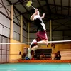 t.anhbadminton