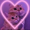 fff.com38