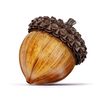 pocas_nueces