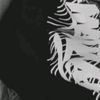 cxe._48