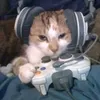 vldplay