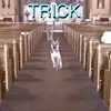 rmhttsbhilyhidc