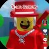 teaminvisible61