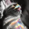 margarooot