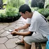 pleball