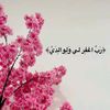 talin_x23