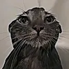 ilyusha_17_