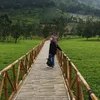 dwihidayati102