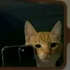 its_al_dreyyyy