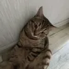 itilit__0_0__0