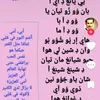 zamour15
