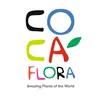 coca_flora