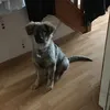 sharonmooney5