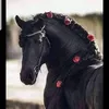 flowersh20