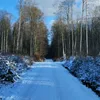 alpay_388