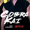 cobra_kai_411