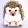 hedgehog84_