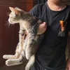 hnhtong_125