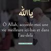 zeinouch7