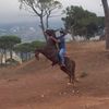 hamedmjawhar