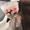 daryami_