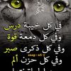 dy1akgmnelml