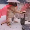 xamadaesquina