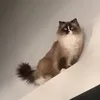 oliwiabryk123