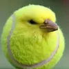 brkn_6