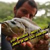 luisarguedas710