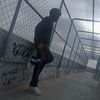 mv_cachorro