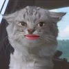 mochi.meowwww